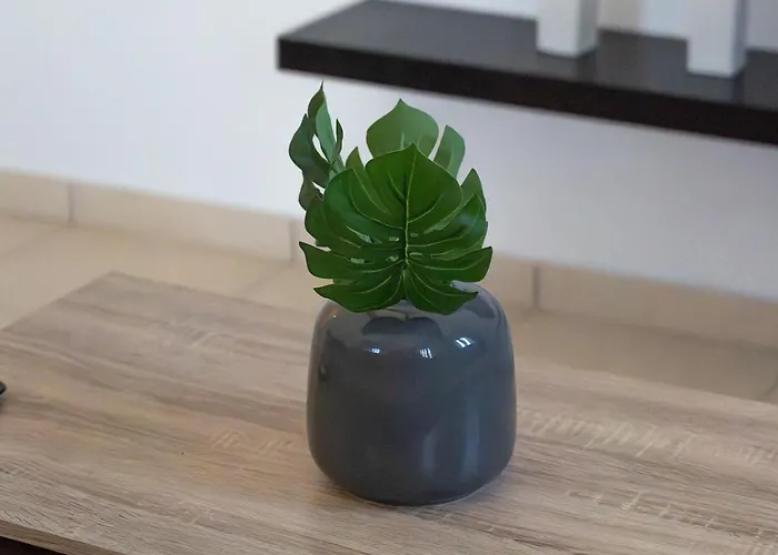 Nueve Village There's No Place Like